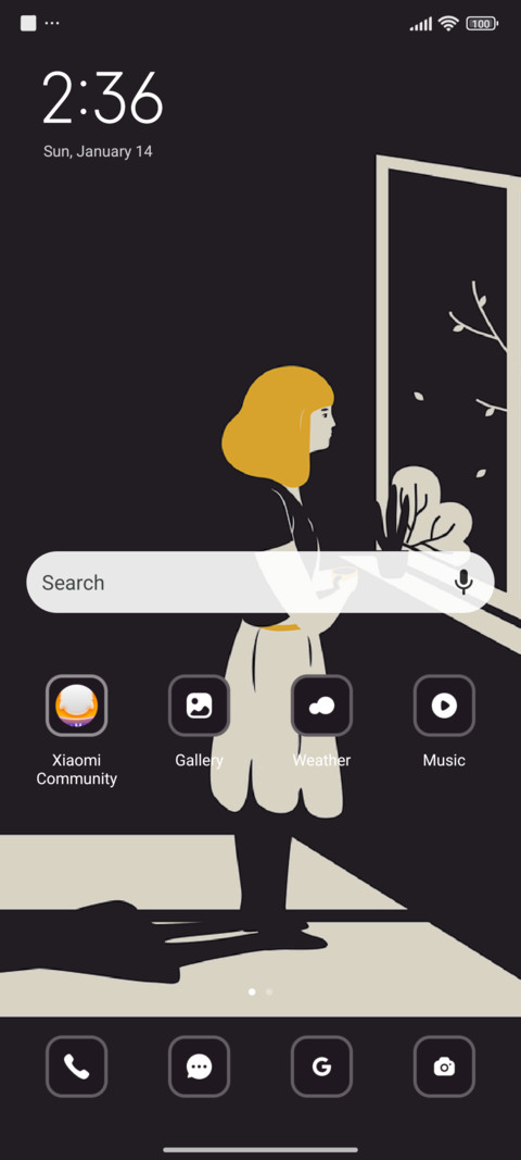 Window screenshot