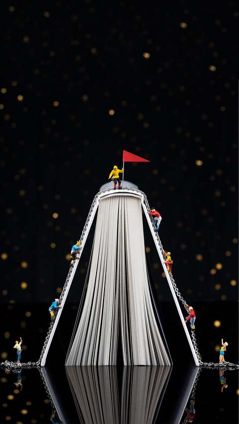 Books are always the ladder of progress 5 screenshot