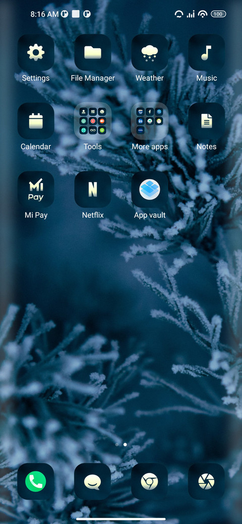 Elsa screenshot