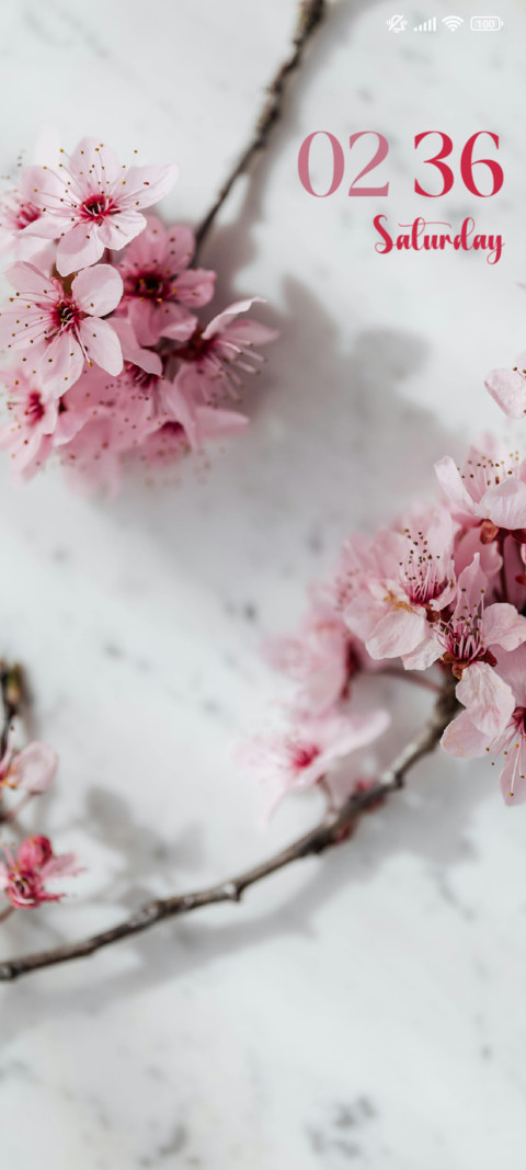 Blossoms screenshot
