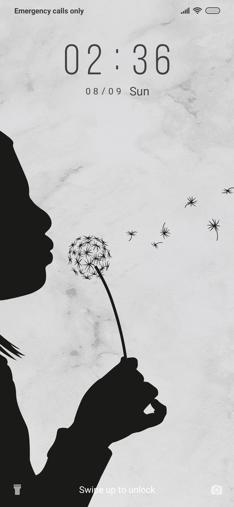 Dandelions - B&W_3MDS screenshot