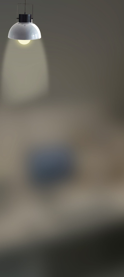 3D桌面毛绒小怪兽 screenshot