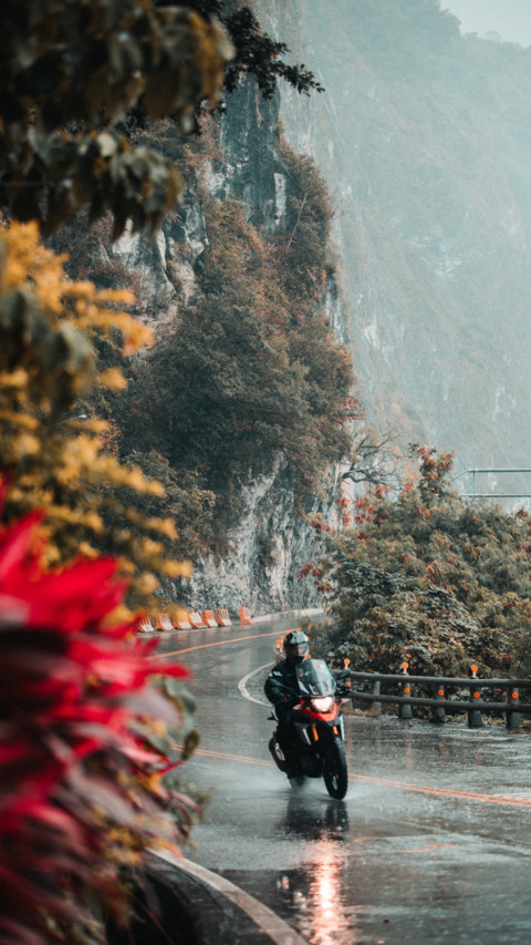 Cruise screenshot