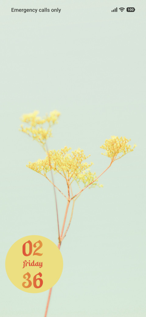 Yellow Flower screenshot