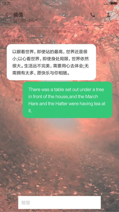 （好评返3元+动态图标）唯美森系 screenshot