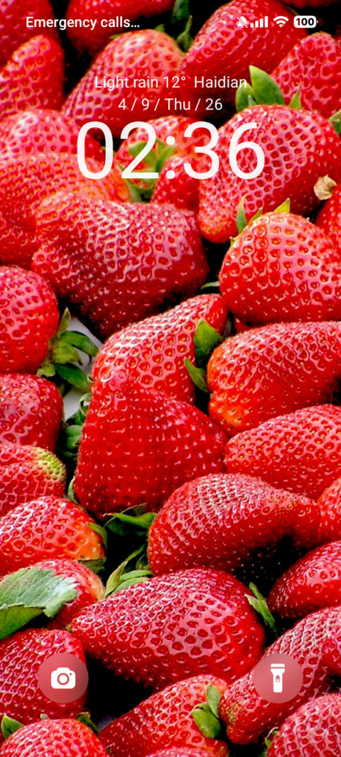 Strawberry Preview