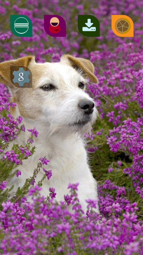 Doggy Special screenshot