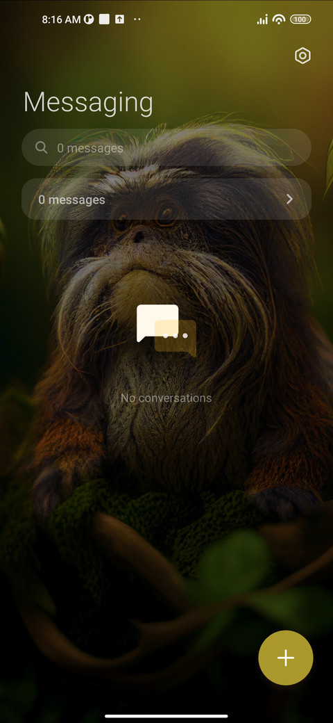 Tamarin Monkey screenshot