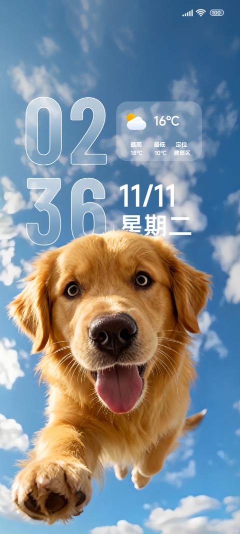 景深OS快乐金毛 screenshot
