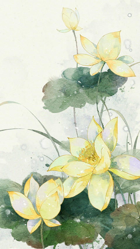 流淌在鲜花中的古韵 screenshot