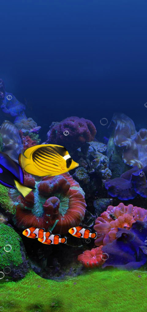 超级梦幻水族馆 screenshot