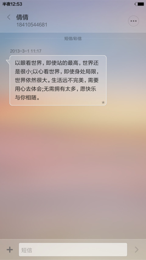 淡雅标准版 screenshot