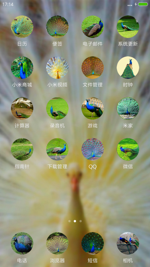 孔雀开屏 screenshot