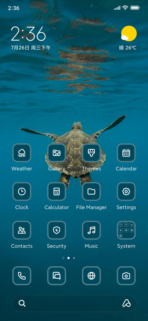 Turtle screenshot