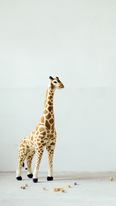India-giraffe screenshot