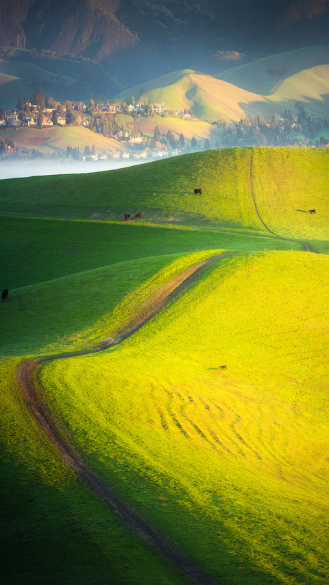 Farmland scenery screenshot