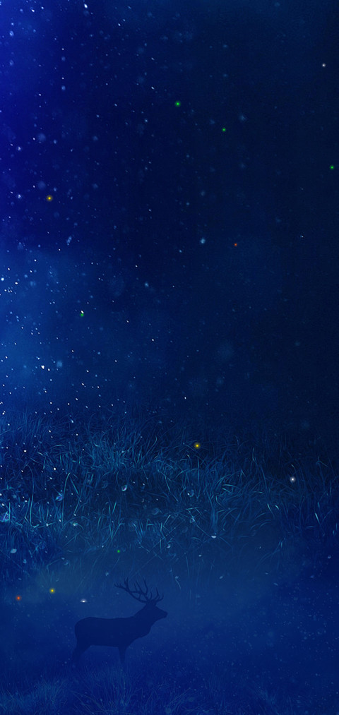 星空 screenshot