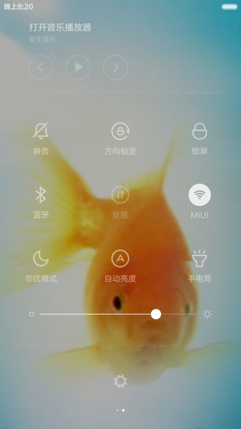 锦鲤 screenshot