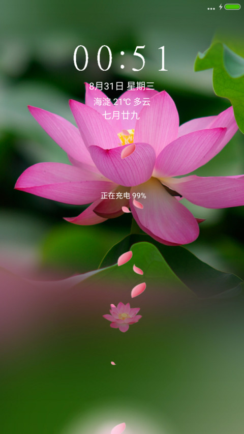 荷花 screenshot