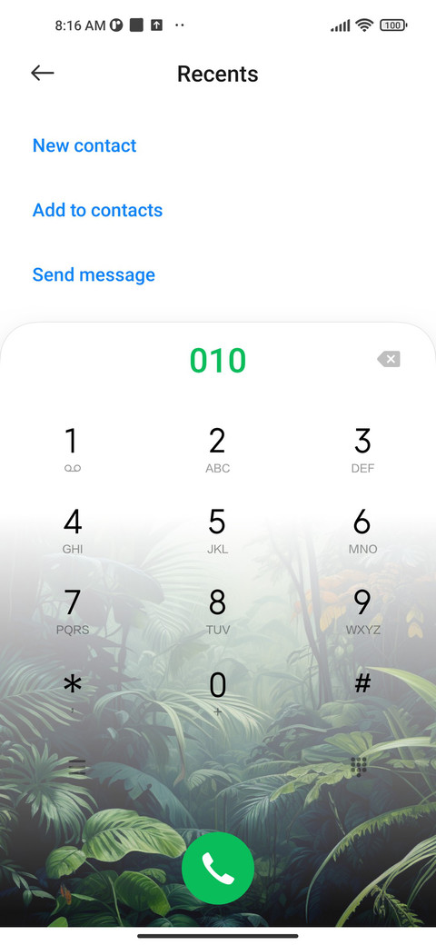 rainforest toucan screenshot