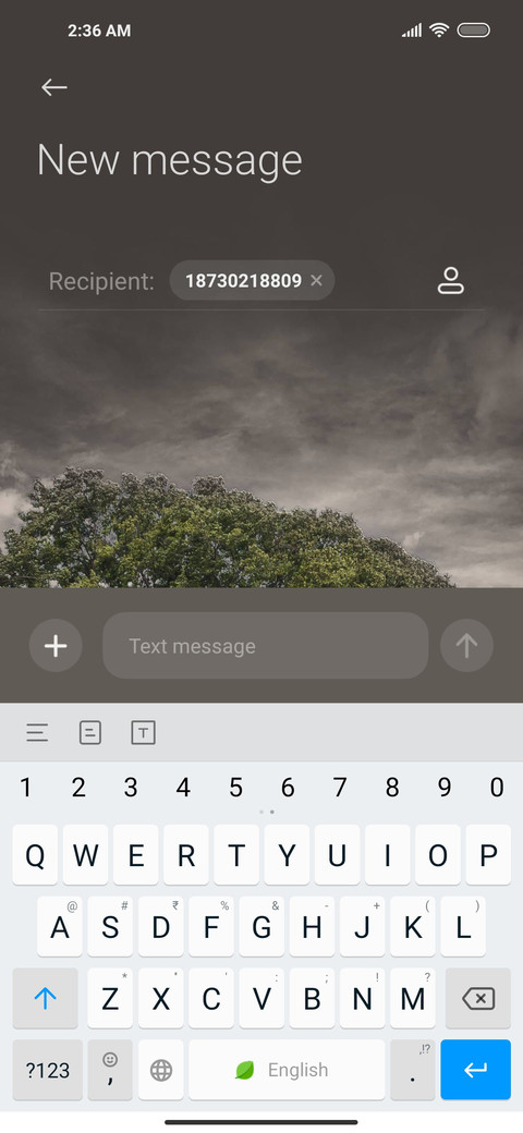 summer cloudy screenshot