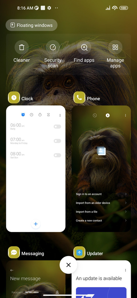 Tamarin Monkey screenshot