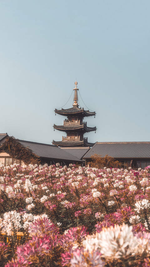 毕业旅行 苏杭在“召唤”你 screenshot