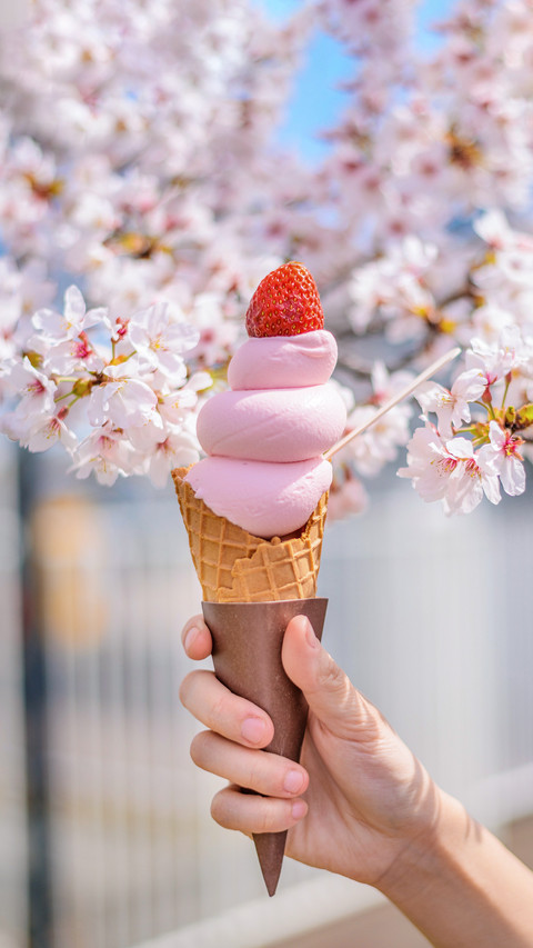 The difference between ice cream and ice cream screenshot