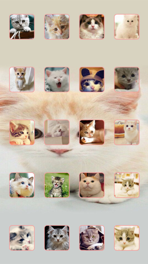 猫猫 screenshot