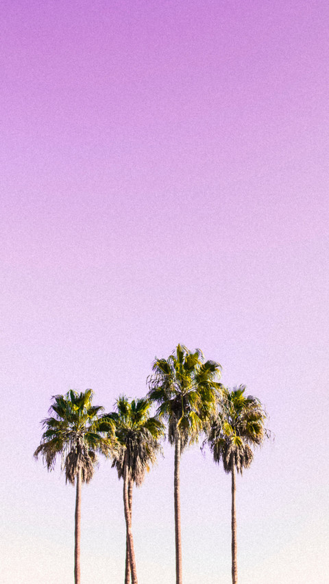 3 screenshot
