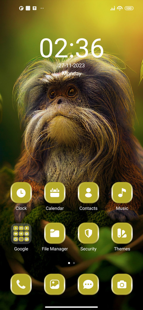 Tamarin Monkey screenshot