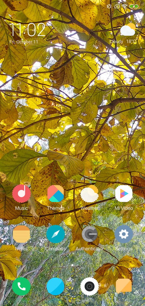 Dry Leaves_DWM2 screenshot