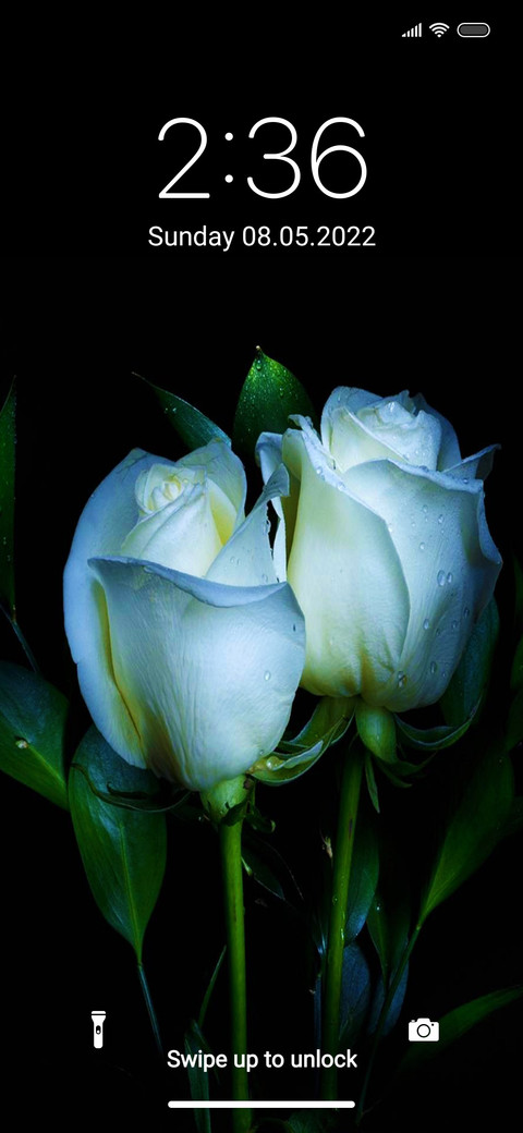 Rose view screenshot