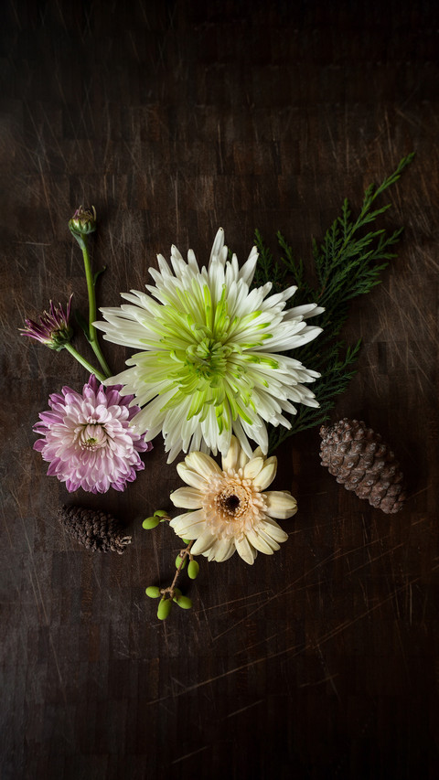 Recommendations for Plants with Blooming Flowers 80 screenshot