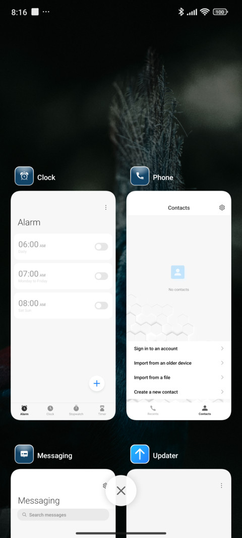 Victoria Pigeon screenshot