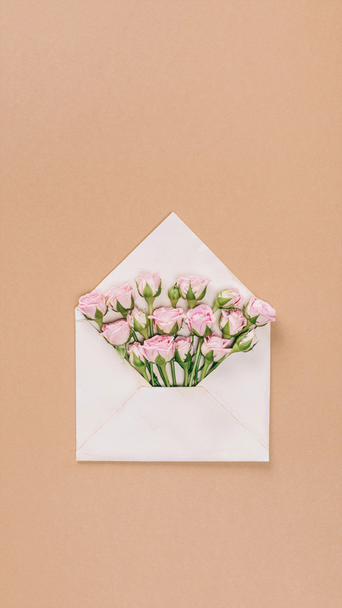 A Letter from Spring screenshot