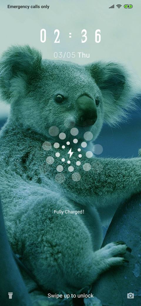 KoalaBear_3MDS screenshot