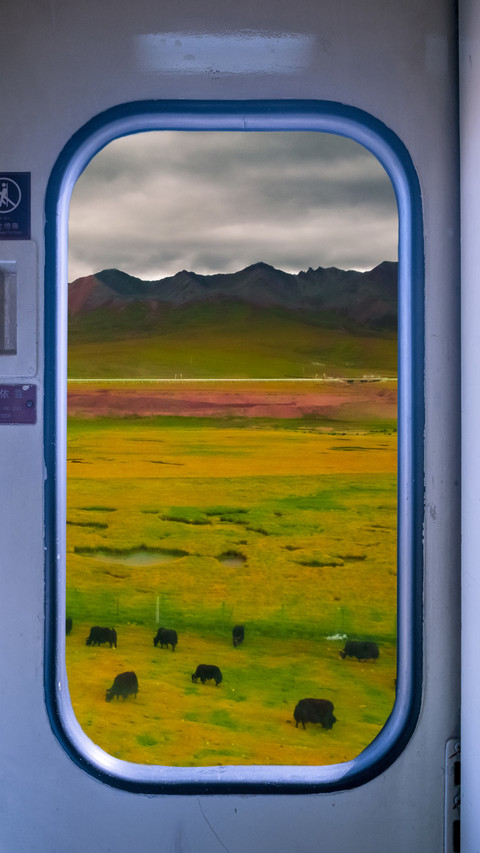 Scenery outside the train on the plateau screenshot