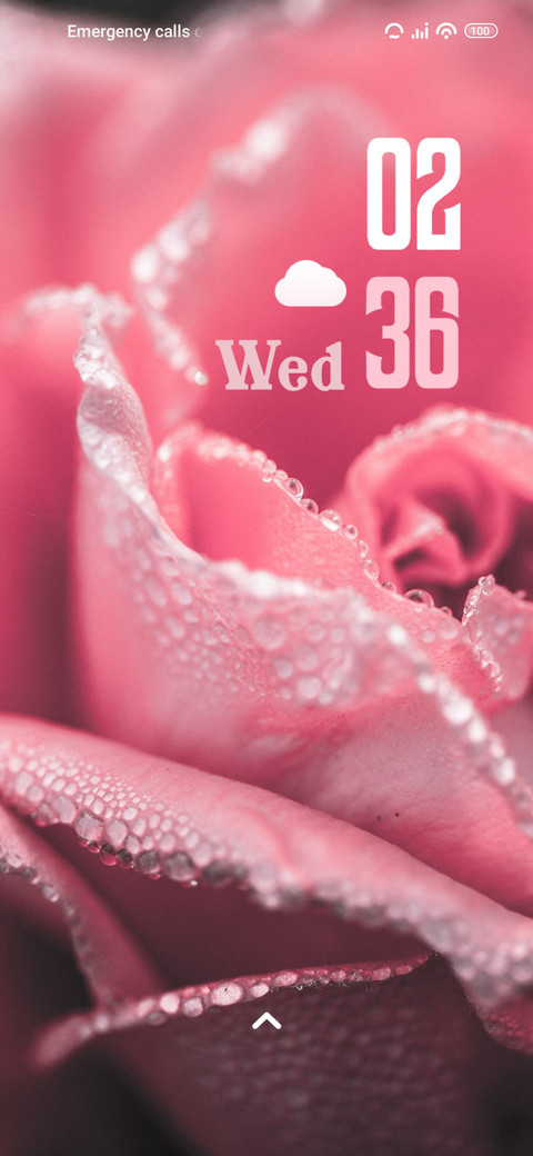Close Flower screenshot