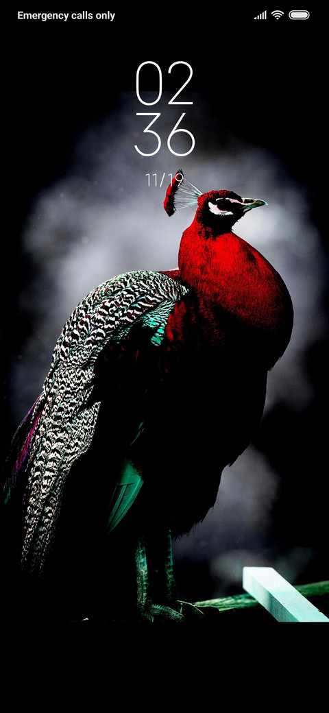 Red Peacock_DWM3 screenshot