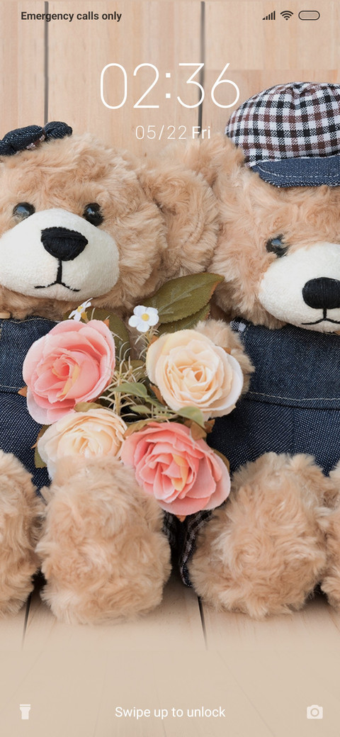 TeddyBear screenshot