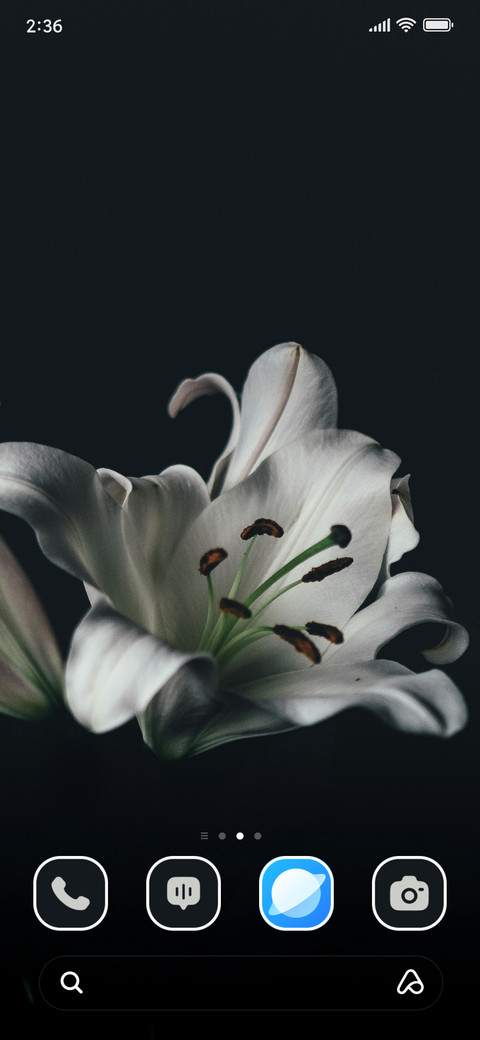 Lily Blossom screenshot