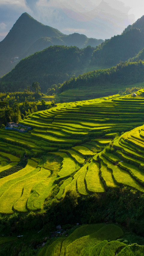 Amidst the clouds and shadows of the wuping terraced screenshot