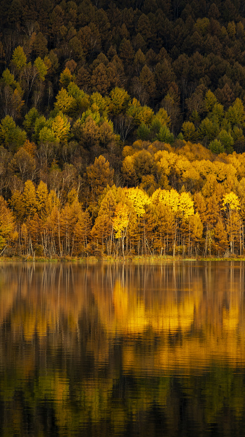 Autumn fills the mountains and rivers screenshot