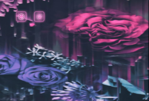 红蓝玫瑰 screenshot