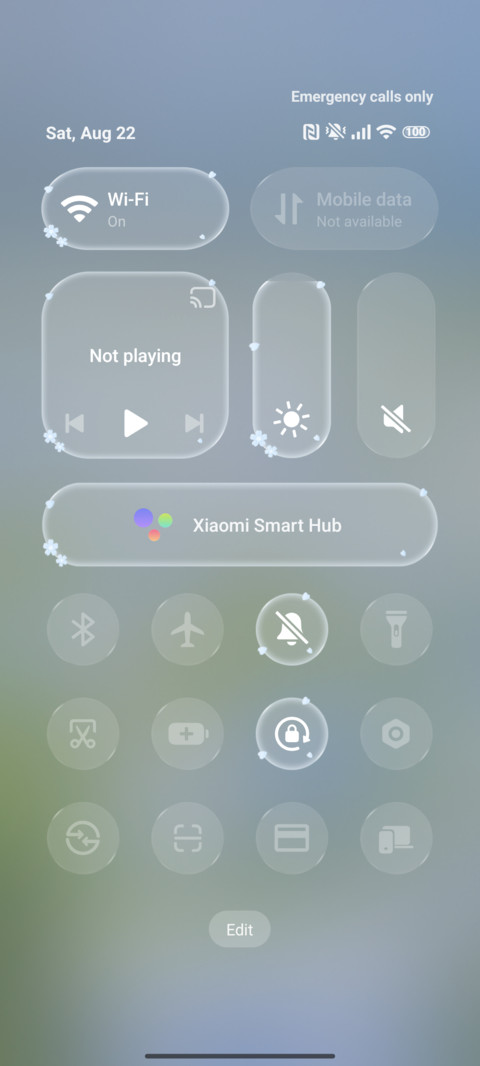 Flower Transparent screenshot