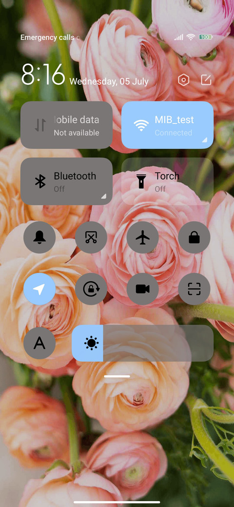Pink rose screenshot