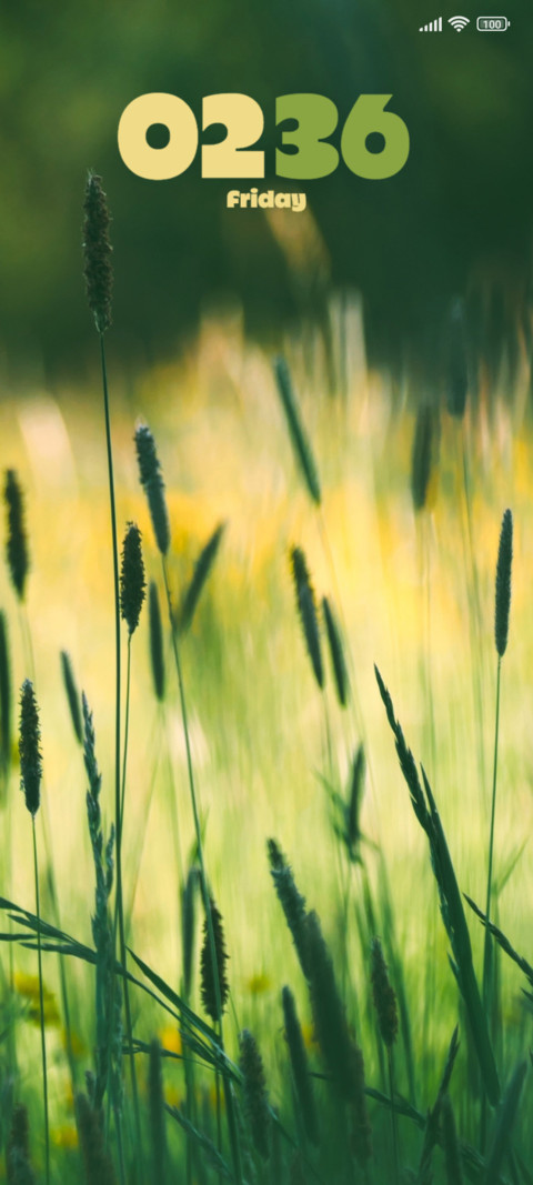 Wildflowers Meadow screenshot