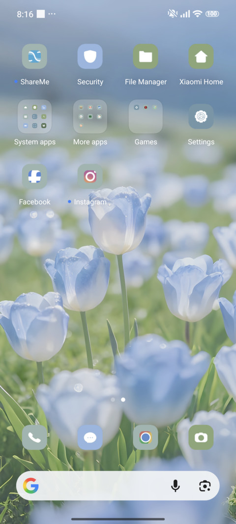 Flower Transparent screenshot