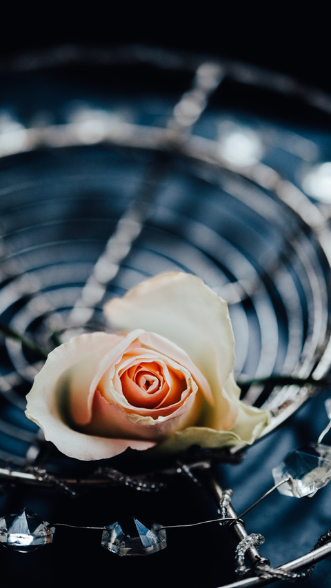 Tranquil rose fragrance screenshot